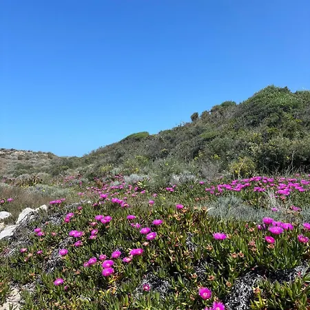 La Pavoncella 아파트