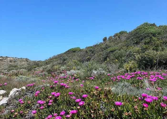 La Pavoncella Διαμέρισμα