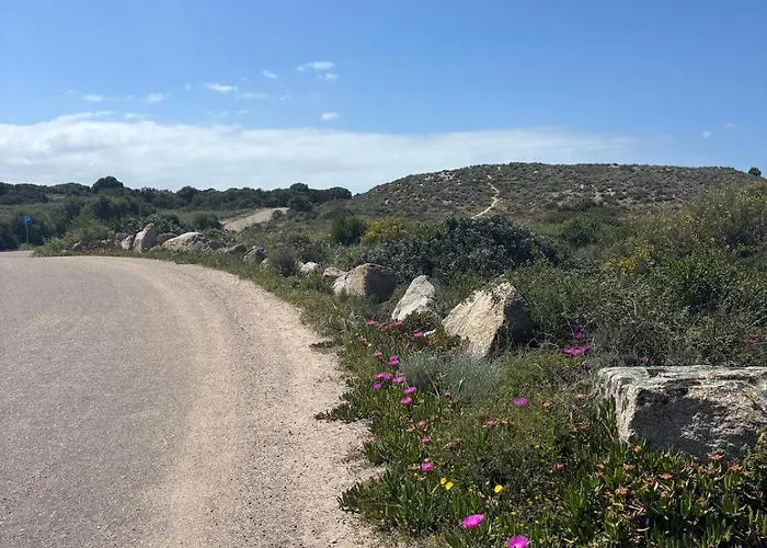 Διαμέρισμα La Pavoncella *